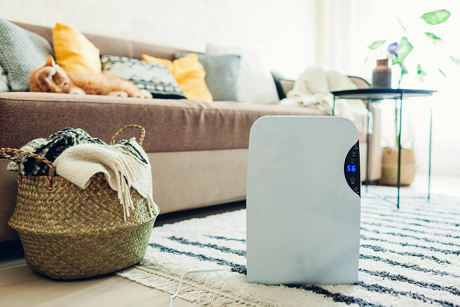 Do Dehumidifiers Help in Keeping the Room Cool During Summer
